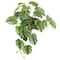 16" Premade Potted Monstera Plant by Ashland®